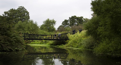 Bridge in Forest park