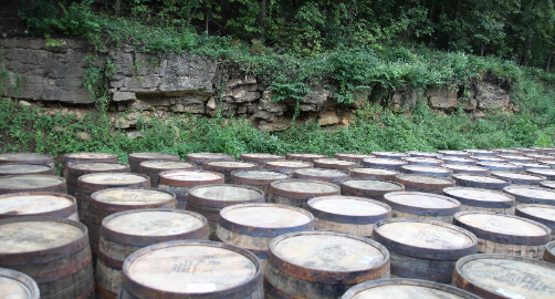 Holliday Distillery barrels